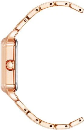 Anne Klein Steel 4062RGRG