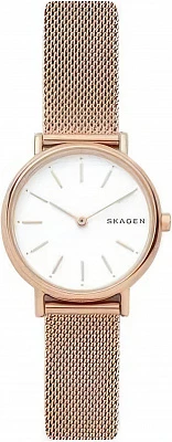 Наручные часы Skagen SKW2694