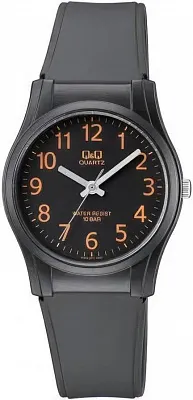 Наручные часы Q&Q VQ02J011Y
