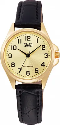 Наручные часы Q&Q C37AJ011Y