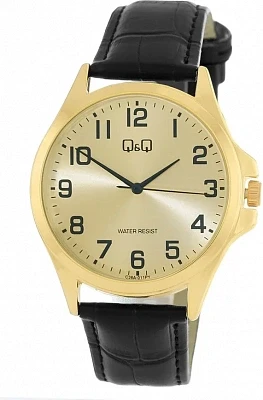 Наручные часы Q&Q C36AJ011Y