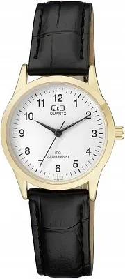 Наручные часы Q&Q C213J104Y