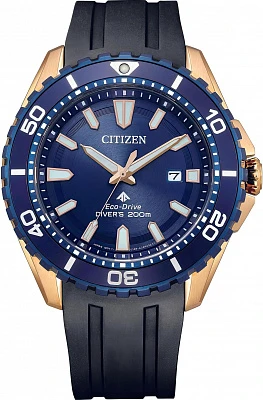 Citizen BN0196-01L