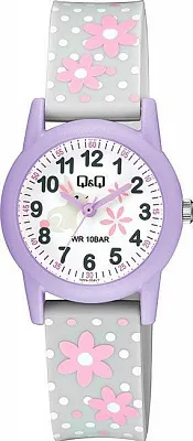 Наручные часы Q&Q V22AJ004Y