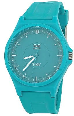 Наручные часы Q&Q VQ66J011Y