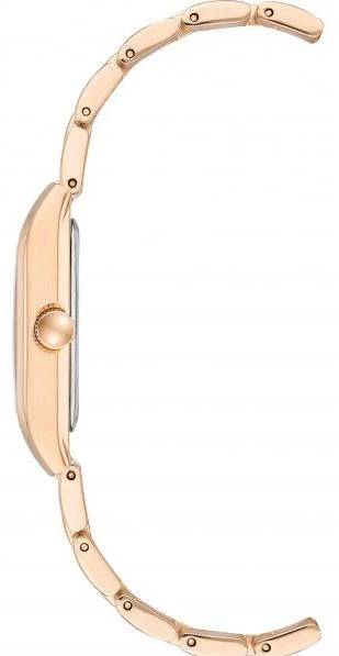 Anne Klein Steel 3954NVRG