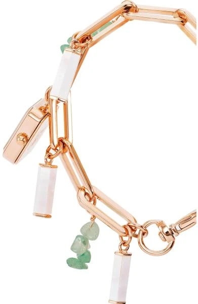Anne Klein Steel 4108AVCH