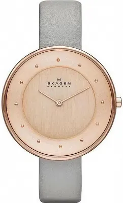 Skagen SKW2139