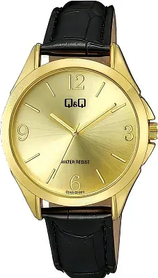 Наручные часы Q&Q C04AJ011Y