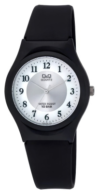Наручные часы Q&Q VQ86J020Y