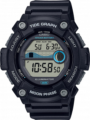 Наручные часы Casio WS-1300H-1A