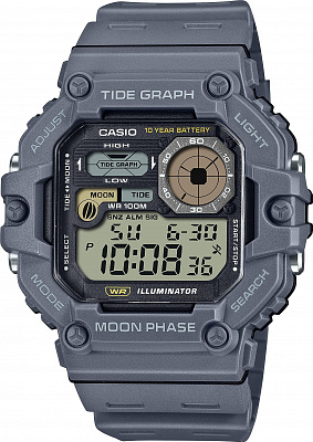 Наручные часы Casio WS-1700H-8A
