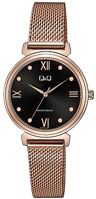 Наручные часы Q&Q Q27BJ005Y