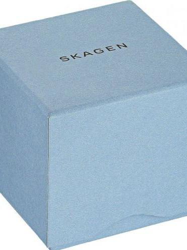Skagen SKW6450