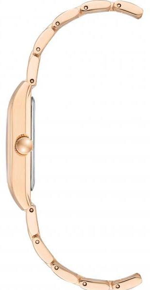 Anne Klein Steel 3954NVRG