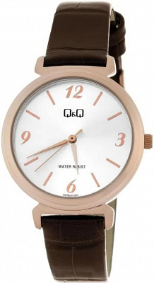 Наручные часы Q&Q Q27BJ011Y