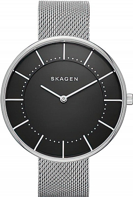 Наручные часы Skagen SKW2561