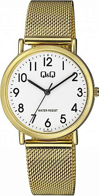 Наручные часы Q&Q Q05AJ009Y