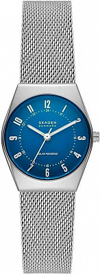 Наручные часы Skagen SKW3080