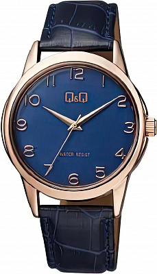 Наручные часы Q&Q Q860J105Y