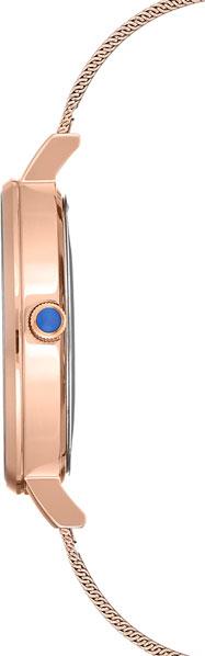 Anne Klein Steel 2988RGRG
