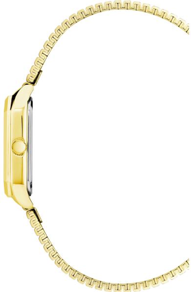Anne Klein Steel 3980CHGB