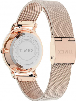 Timex TW2U86600